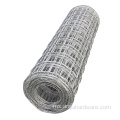 Bangunan berkualiti tinggi Galvanized Square Welded Wire Mesh